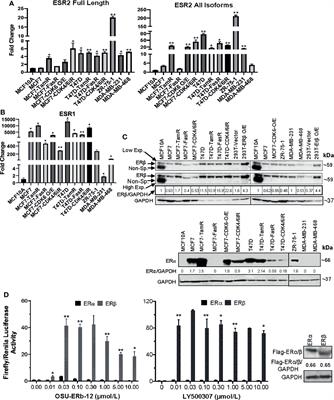 Activity of Estrogen Receptor β Agonists in Therapy-Resistant Estrogen Receptor-Positive Breast Cancer